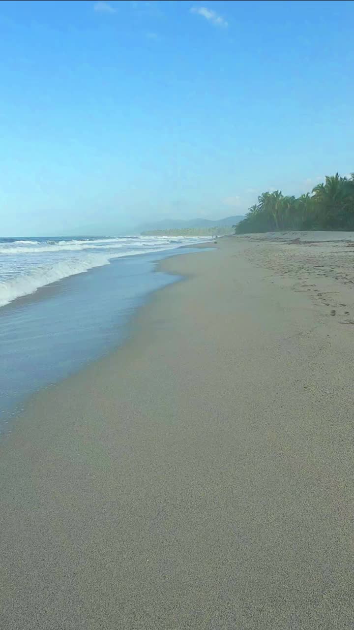 阳光明媚的日子里海滩的景色视频素材