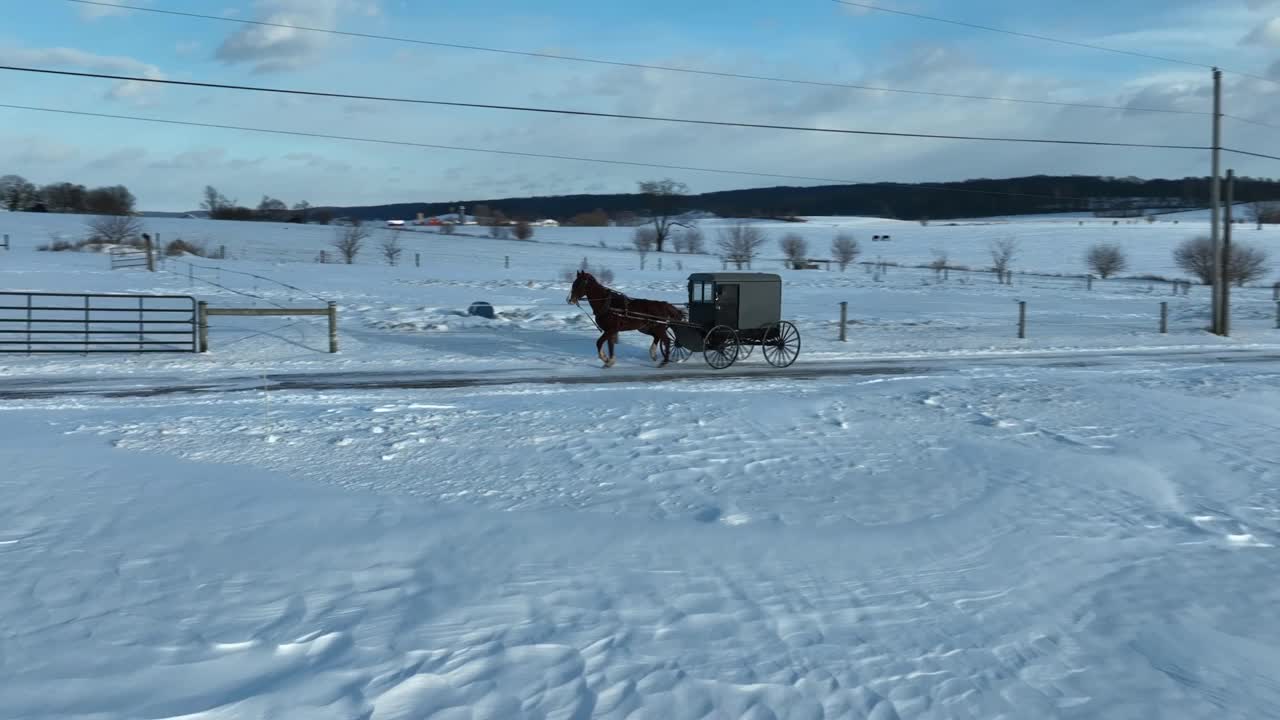 阿米什人的马和马车在冬天的雪地上行驶。空中跟踪拍摄于宾夕法尼亚州兰开斯特县宾夕法尼亚州阿米什乡村。视频素材