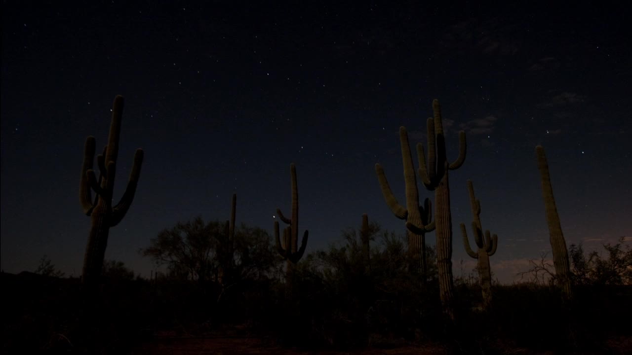 在索诺兰沙漠，星星划过夜空照耀着仙人掌。高清。视频素材