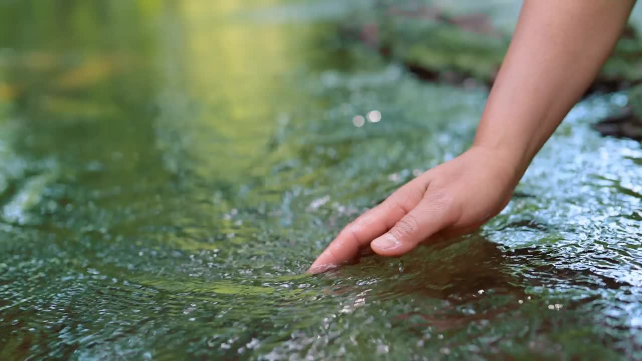 手触摸池塘里的水视频下载