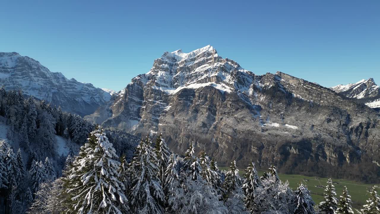 在瑞士云杉树上拍摄阿尔卑斯山山脉的雪视频素材