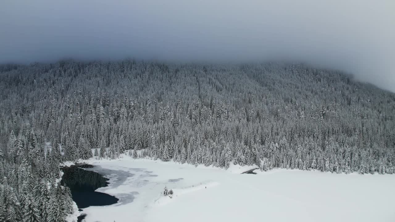 在宁静的山景中鸟瞰白雪覆盖的松林和冰冻的湖泊视频素材