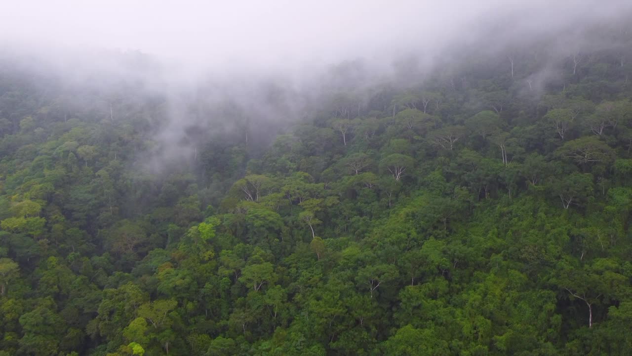 可怕的雾笼罩着哥伦比亚明卡的茂密丛林和青山视频素材