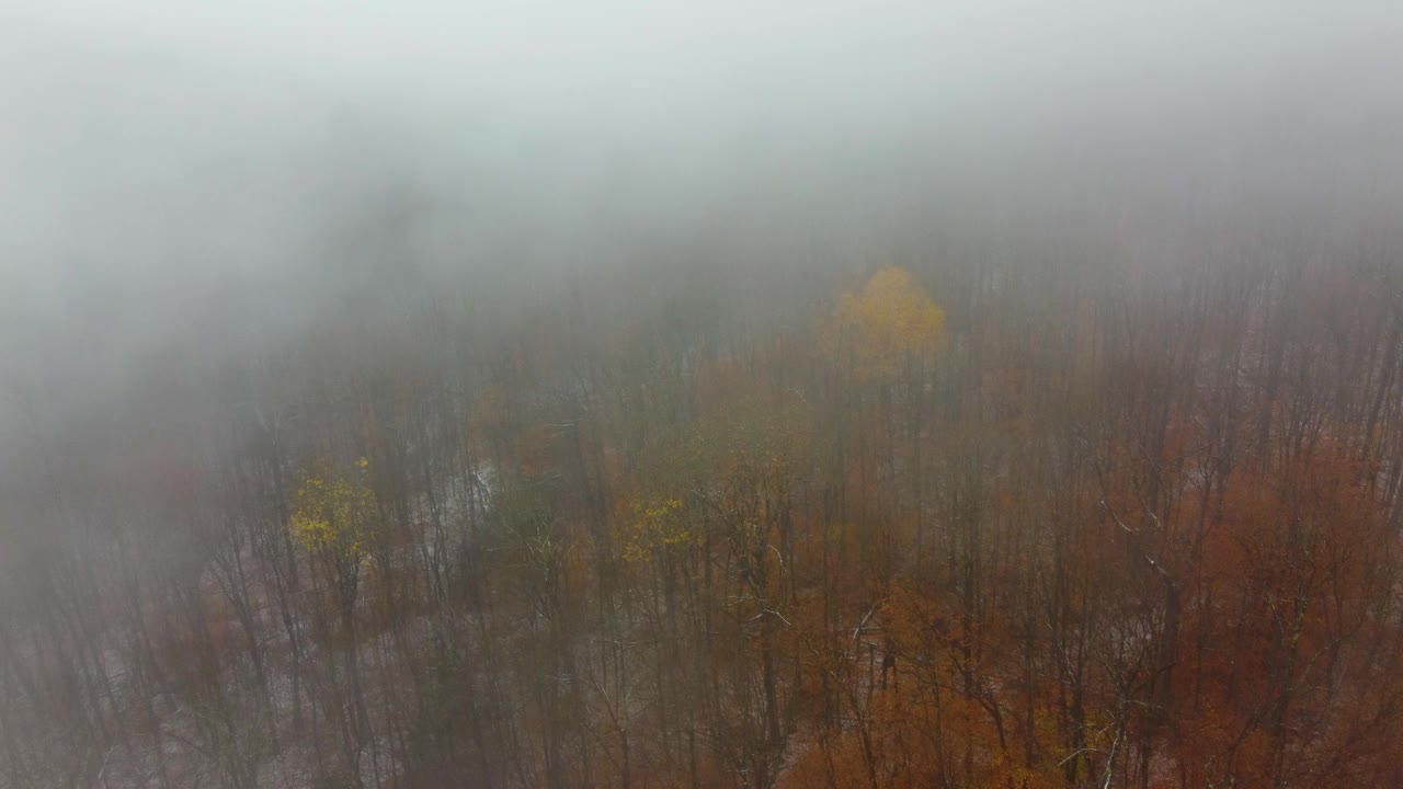 在美国华盛顿山，飞过阴森的雾和迷人的秋天森林视频素材