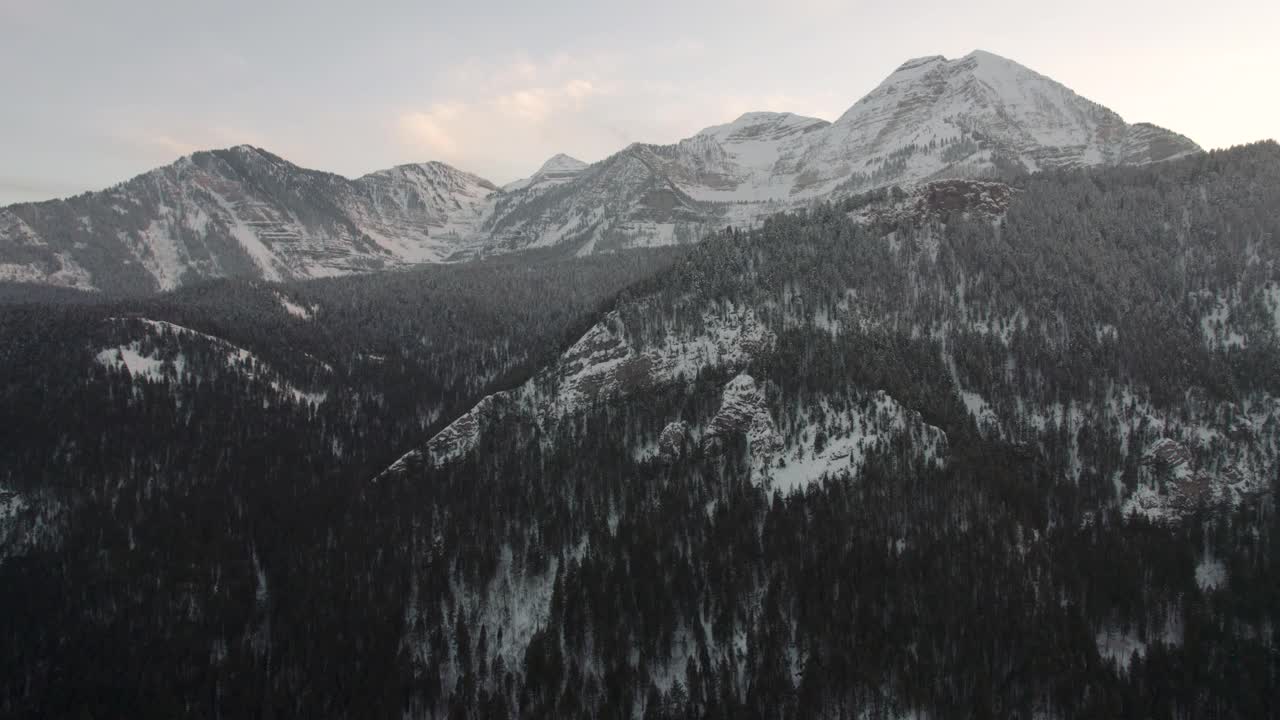 雪针叶林和山在美国福克峡谷，犹他州-航拍视频素材