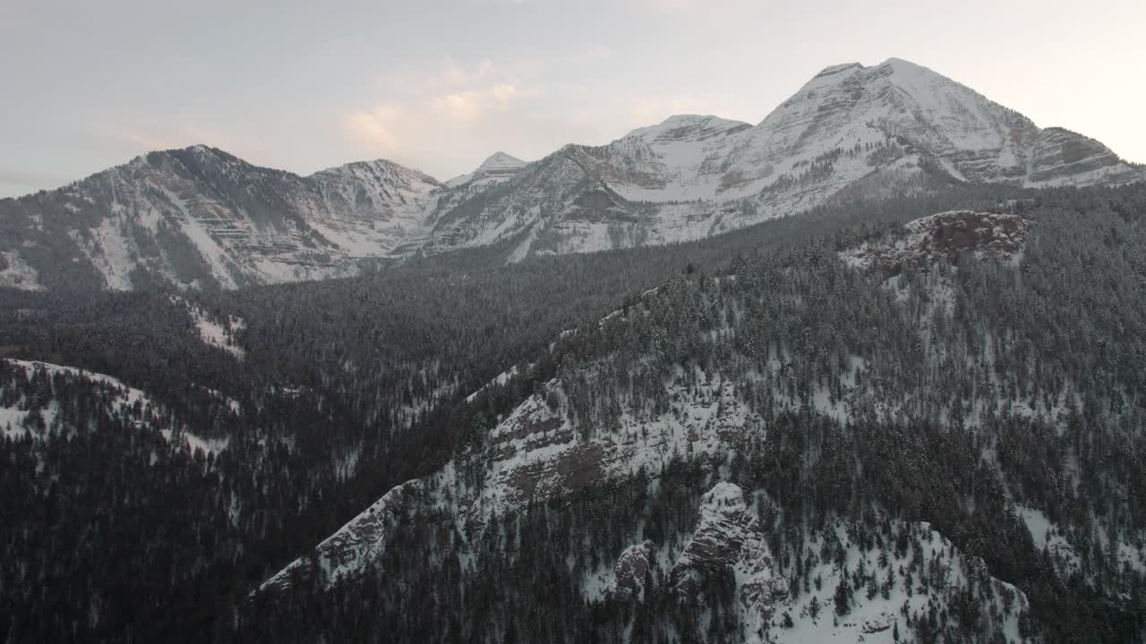 雪冬季森林和山脉，美国福克峡谷，犹他州-空中无人机拍摄视频素材