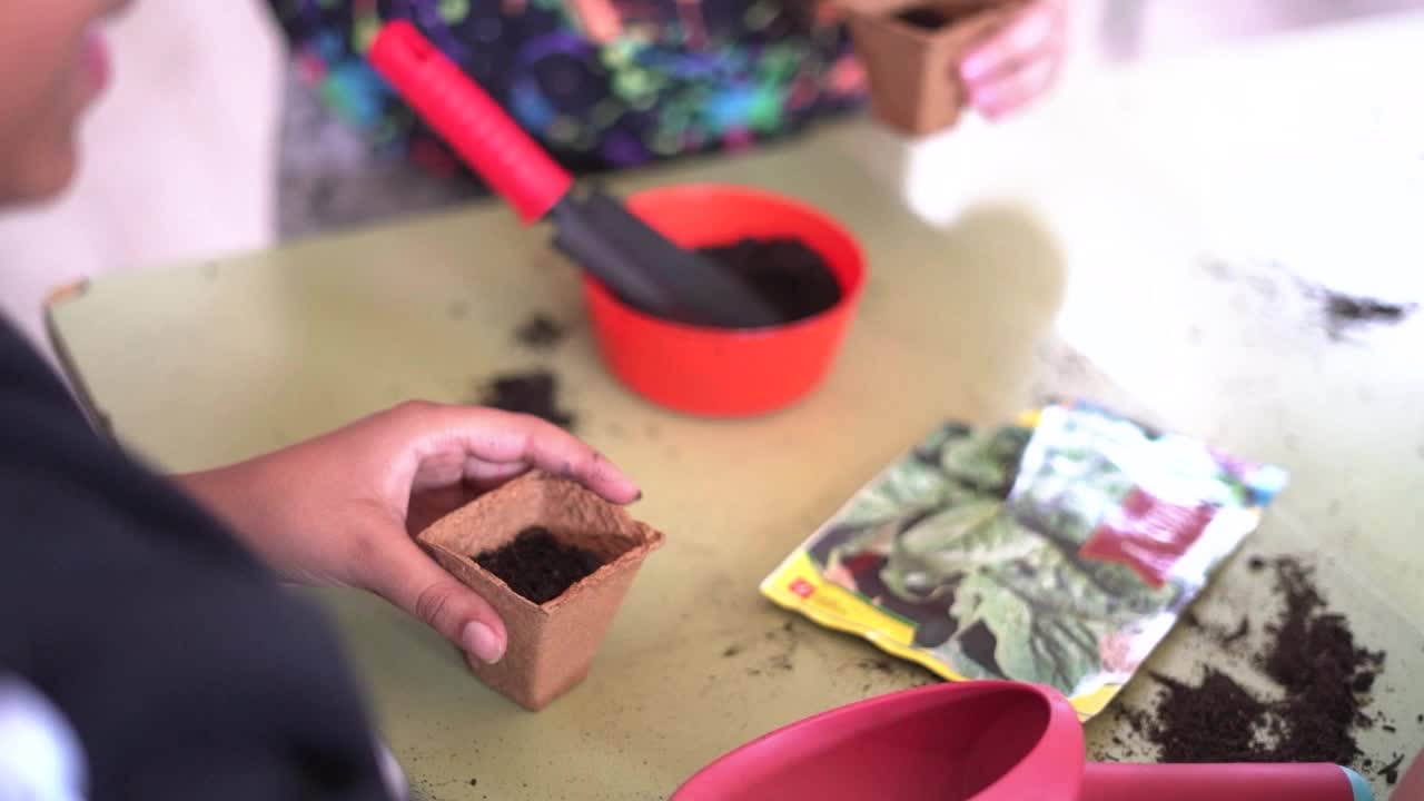 孩子们学习在花园里播种。用手拿着种子和黑土在花盆里的狭窄的田地深度。视频素材