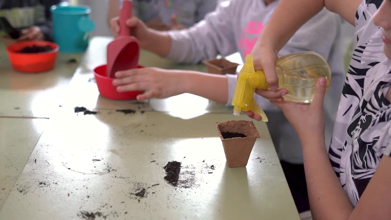 孩子们学习在花园里播种。用手拿着种子和黑土在花盆里的狭窄的田地深度。视频素材