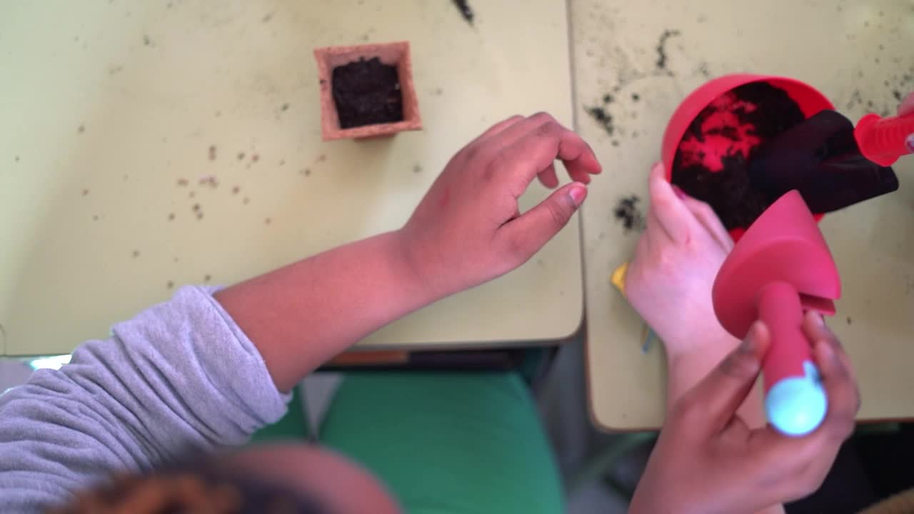 孩子们学习在花园里播种。用手拿着种子和黑土在花盆里的狭窄的田地深度。视频素材