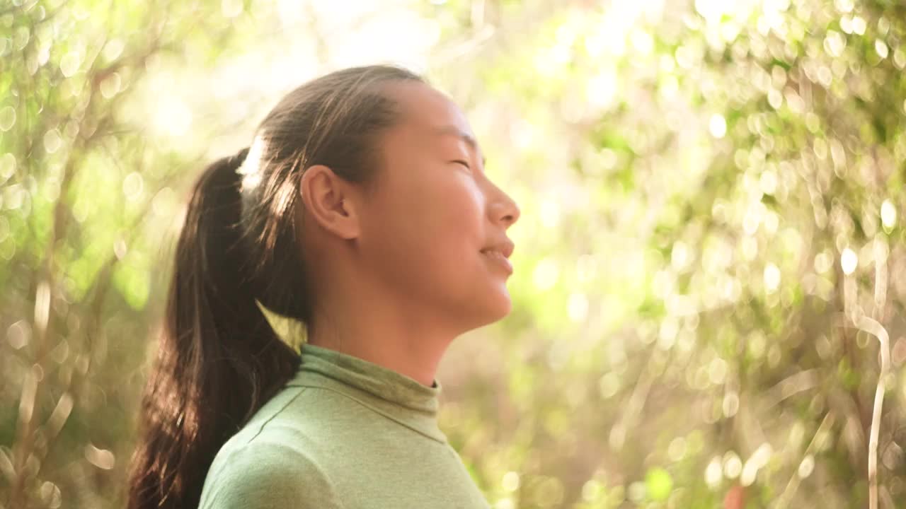 自然中的佛教祈祷:女性在森林中进行冥想视频素材