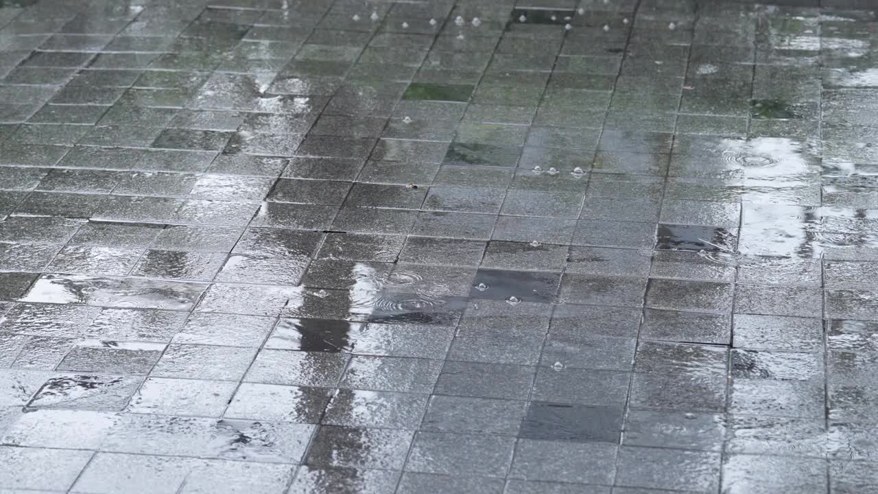 雨落在人行道上视频素材