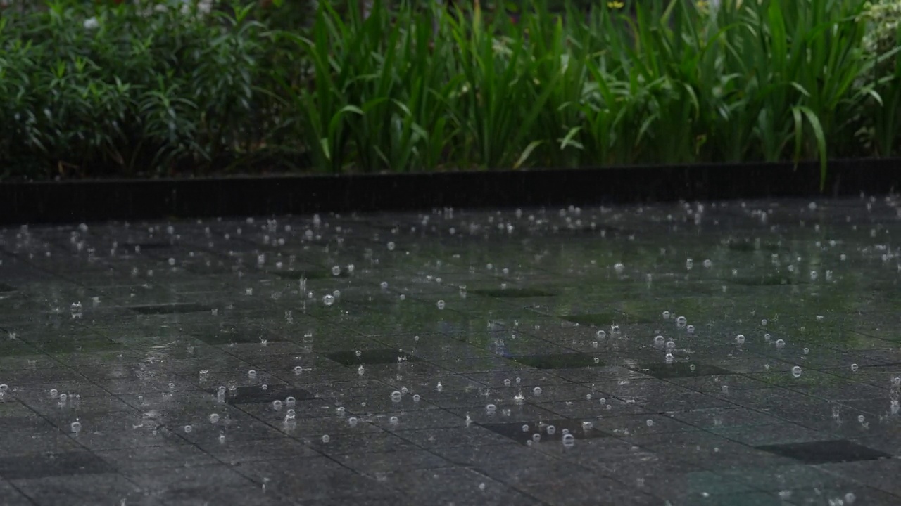 雨落在人行道上视频素材