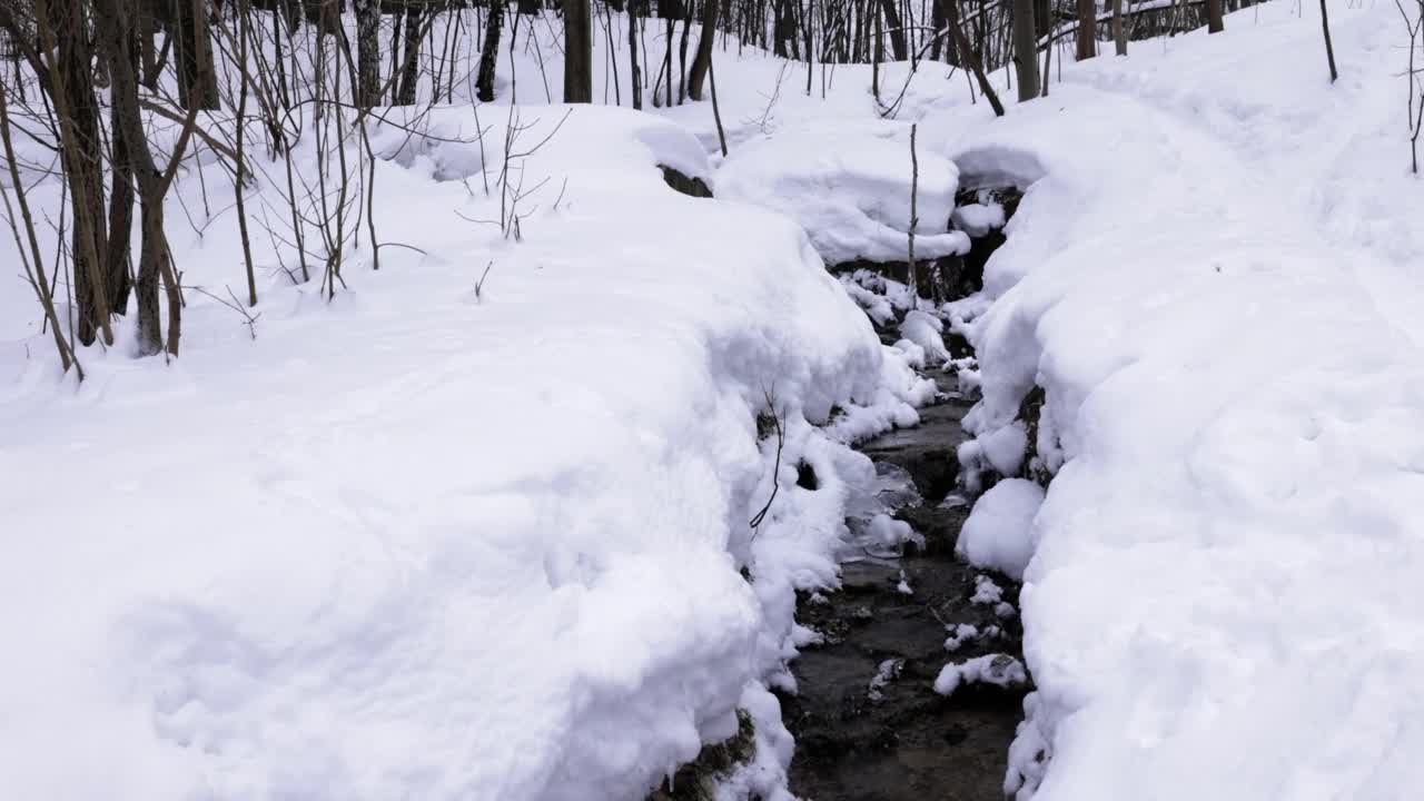 春天的水在冬天流过白雪皑皑的公园视频素材