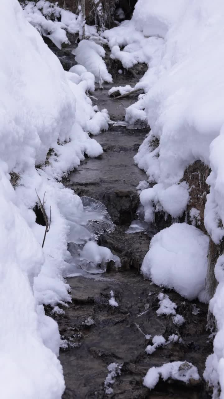 春天的水在冬天流过一个下雪的公园的垂直视频视频素材