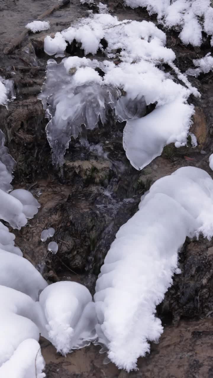 春天的水在冬天流过一个下雪的公园的垂直视频视频下载