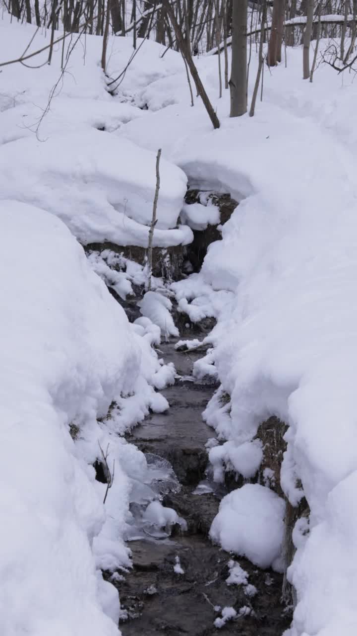 春天的水在冬天流过一个下雪的公园的垂直视频视频素材