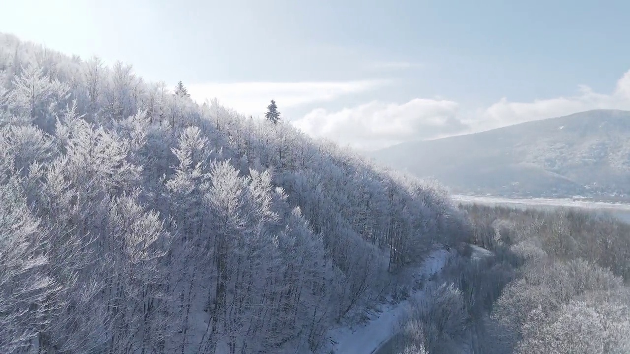 山，湖，树与雪视频下载