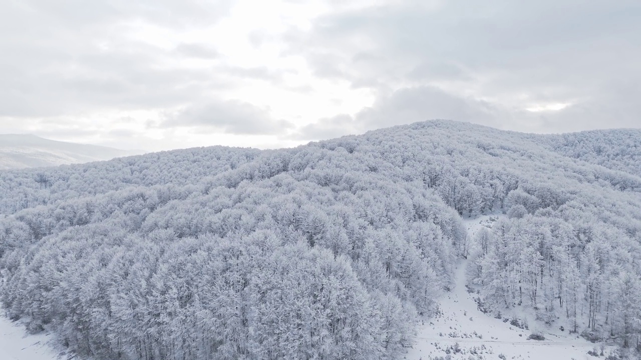 冬天的山景，树木被雪覆盖视频下载