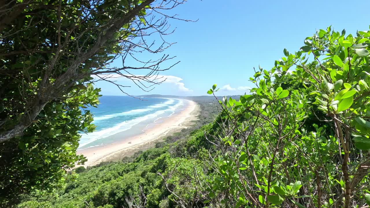 风景秀丽的海滩景观透过树叶视频素材