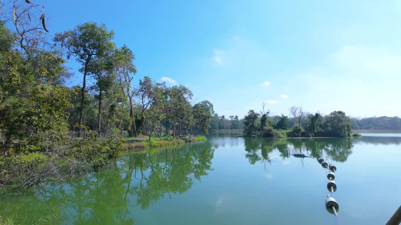 阳光明媚的日子里，在晴朗的天空下，一个坐落在树林中的湖泊视频素材