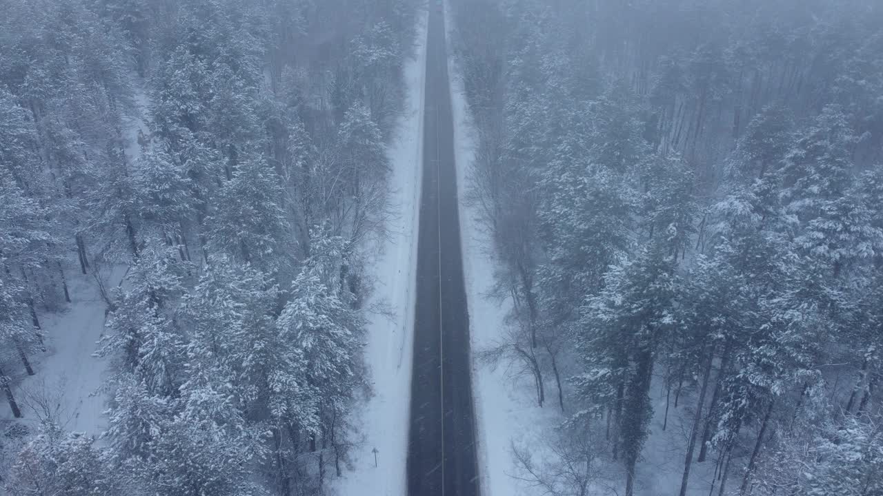 下雪时笔直的路穿过森林。黄色汽车通行证视频下载