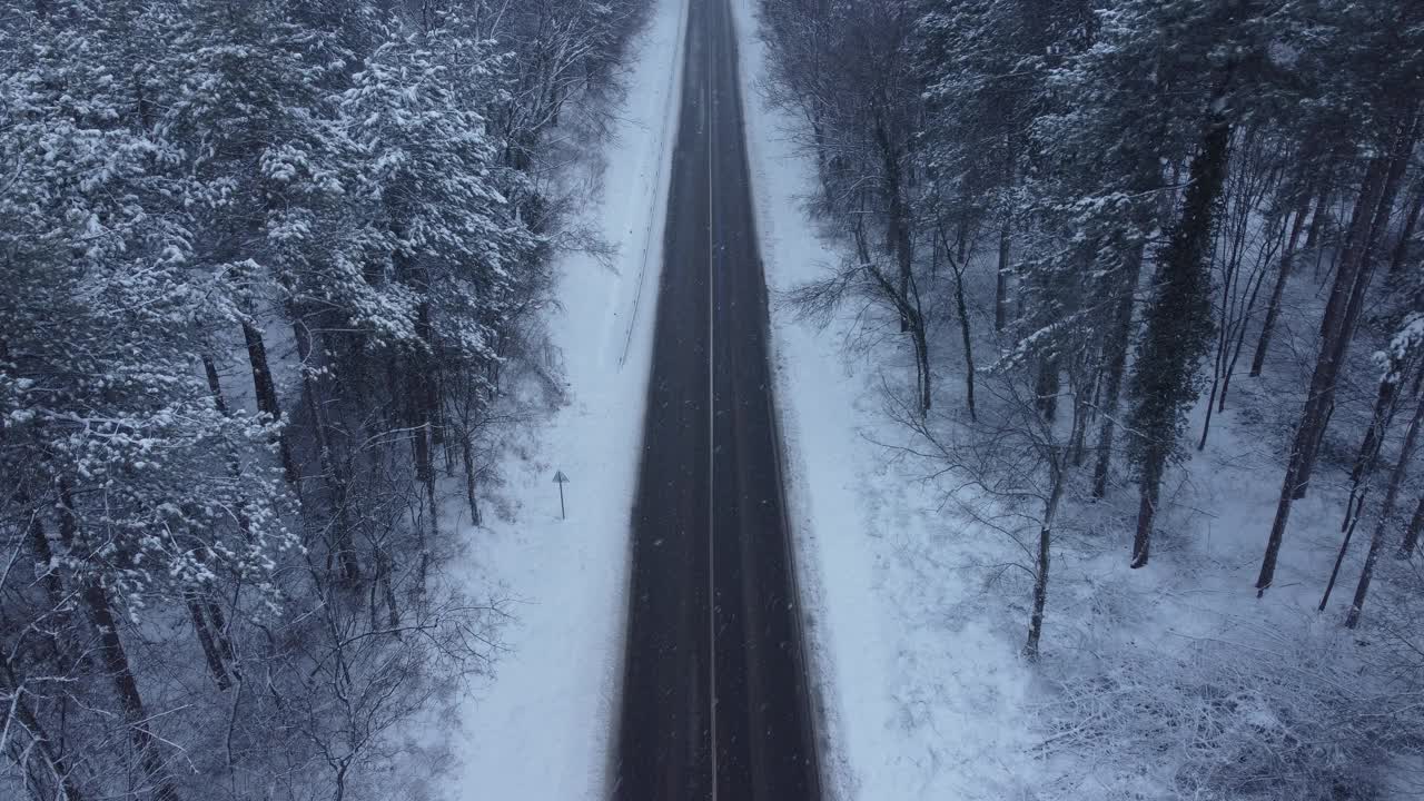 下雪时笔直的路穿过森林。视频下载