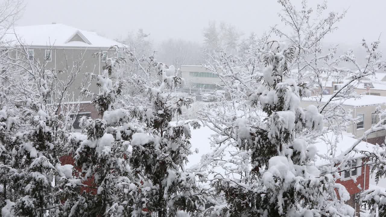 雪天的高角度视图视频素材