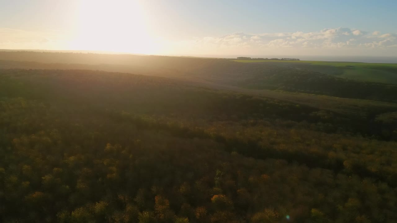 宁静的天际线:无人机在苏塞克斯郡弗里斯顿森林上空的旅程视频下载