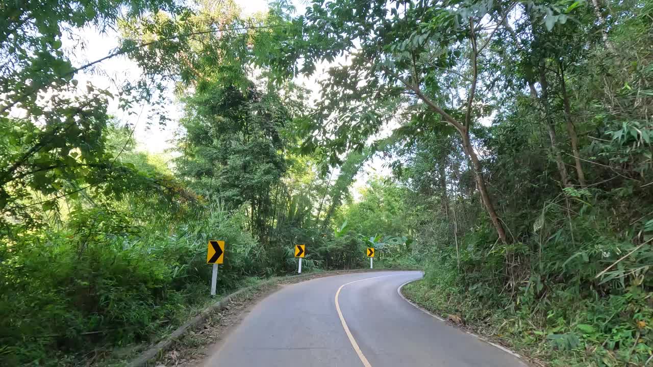 蜿蜒的道路穿过茂密的森林视频素材