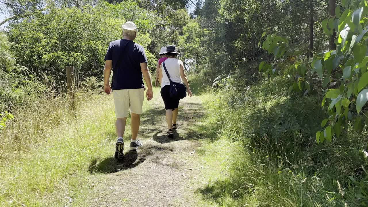 一群人在森林里散步视频下载