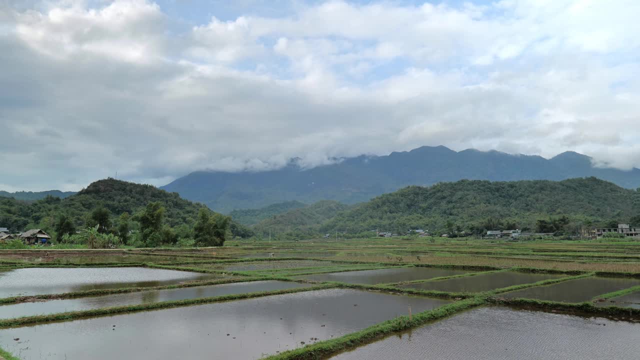 越南乡村景观中，麦洲乡村景观中有稻田视频素材