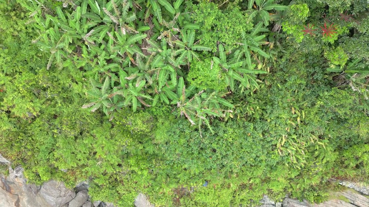 无人机航拍的热带海滩，海岸有波浪，树木，石头视频下载