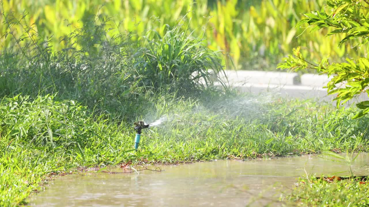 振荡式洒水器浇灌花园视频素材