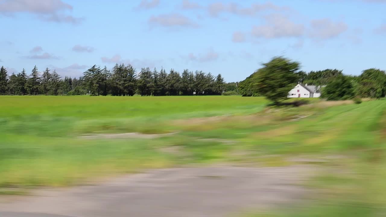 从一辆快速行驶的汽车的窗户看向森林和风景。视频素材