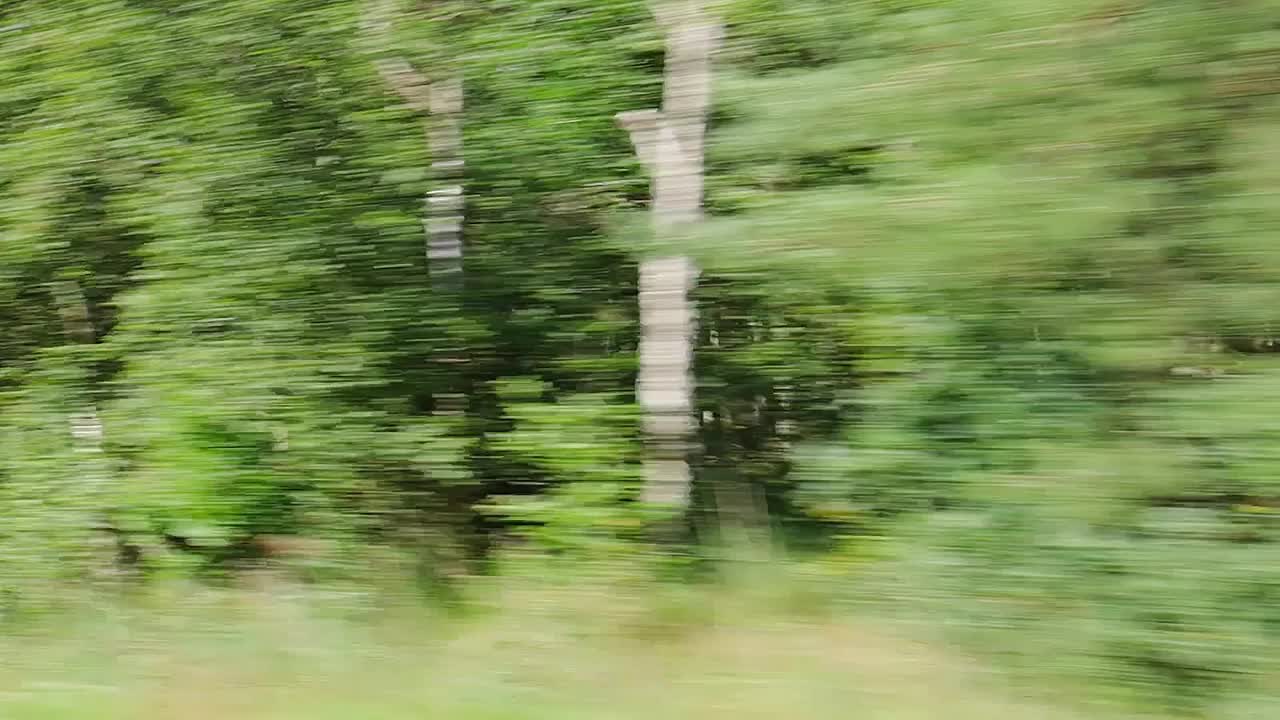 从一辆快速行驶的汽车的窗户看向森林和风景。视频素材