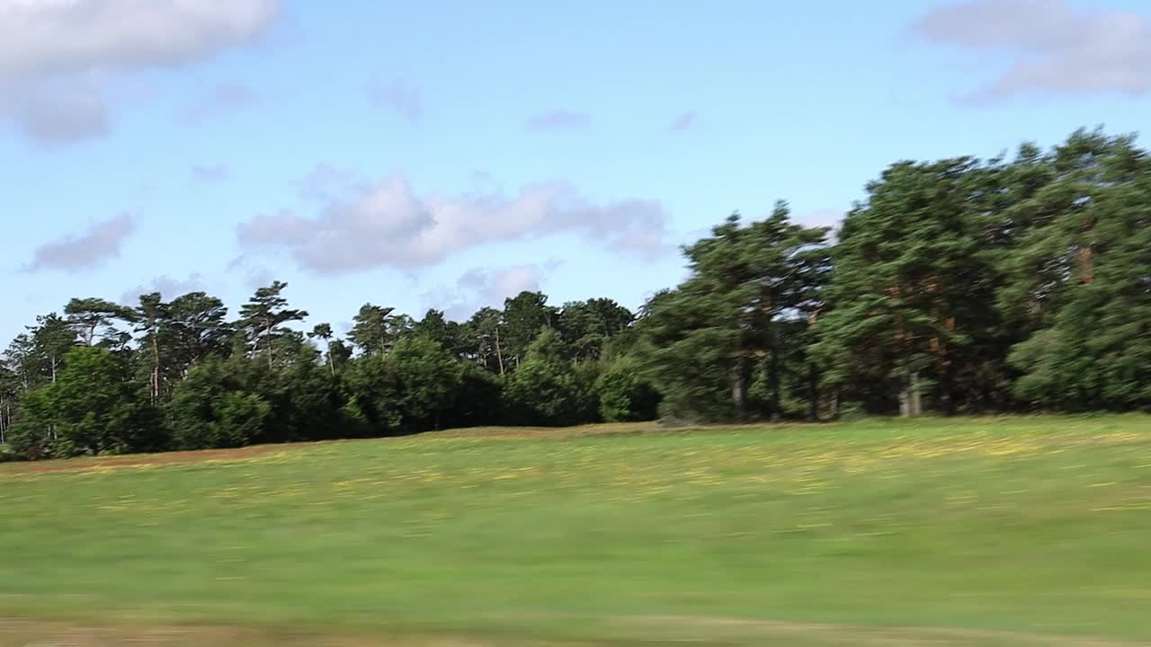 从一辆快速行驶的汽车的窗户看向森林和风景。视频素材