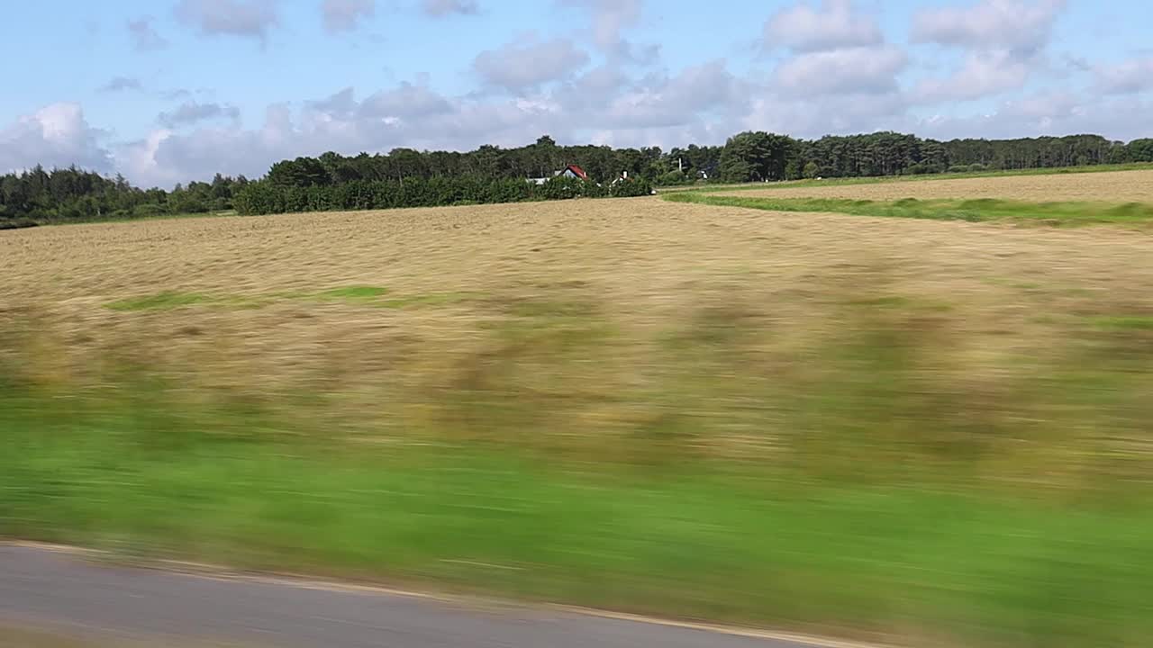 从一辆快速行驶的汽车的窗户看向森林和风景。视频素材