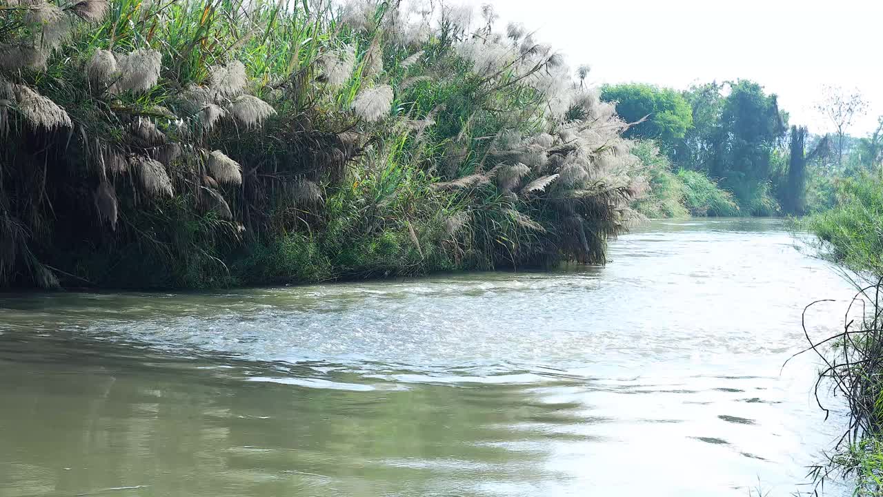 宁静的河流流经大自然视频素材