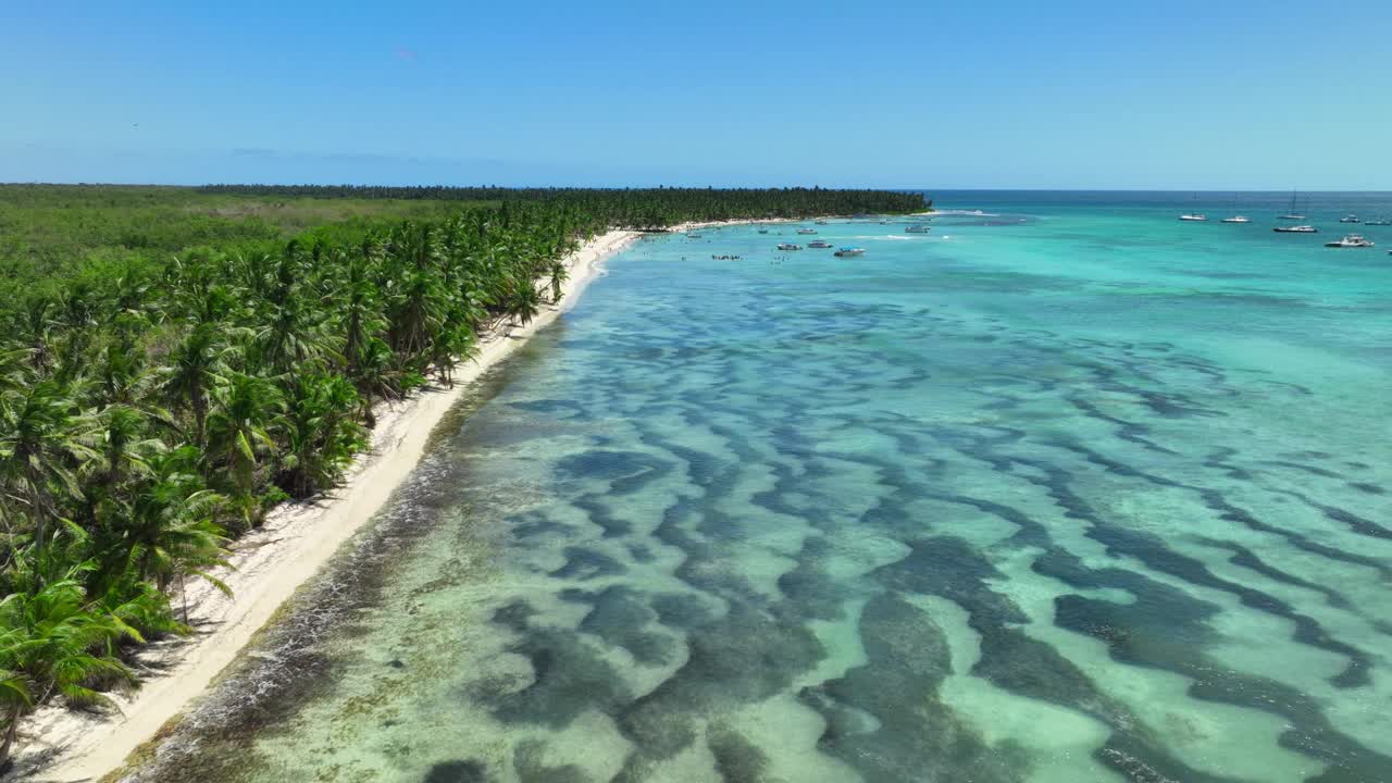 天堂野生热带岛屿海滩海岸与棕榈树丛林和加勒比海，异国情调的自然景观的航拍全景4k视频视频素材