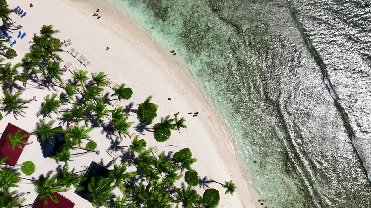 天堂异国情调的假期在多米尼加共和国的热带岛屿海滩，空中俯瞰在蓬塔卡纳海岸视频素材