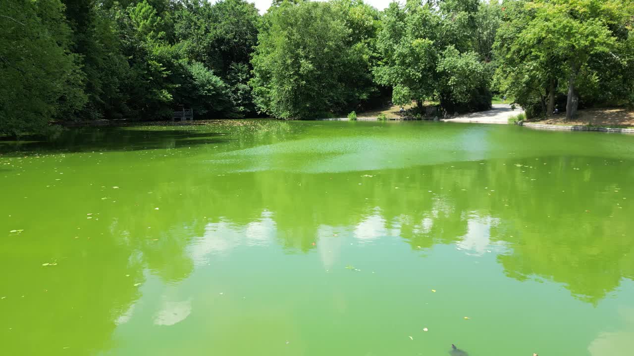 绿色河流的水流动-视频的自然现象，水盛开-宁静的场景与翡翠色调的河流-宁静的自然镜头的绿色河流-迷人的自然现象视频下载