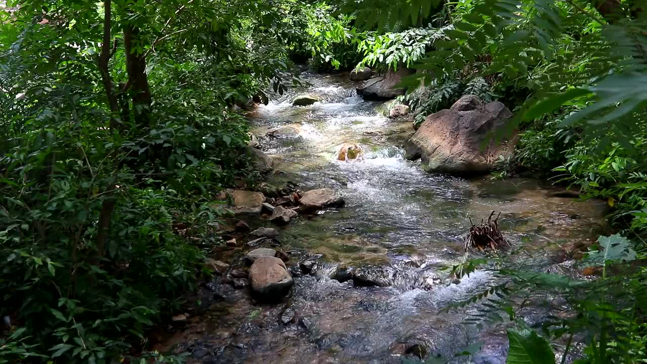 巴西红河——这种河在巴西大草原上很常见。视频下载