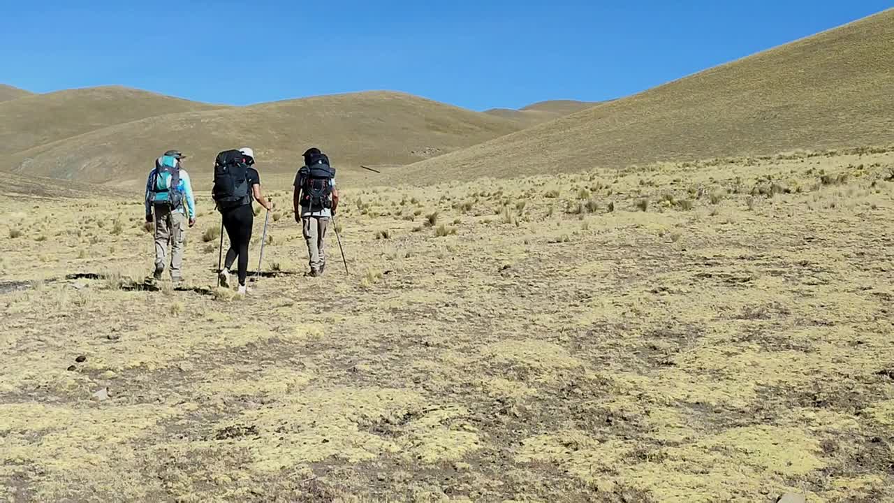 一小群登山者。徒步旅行的人视频下载