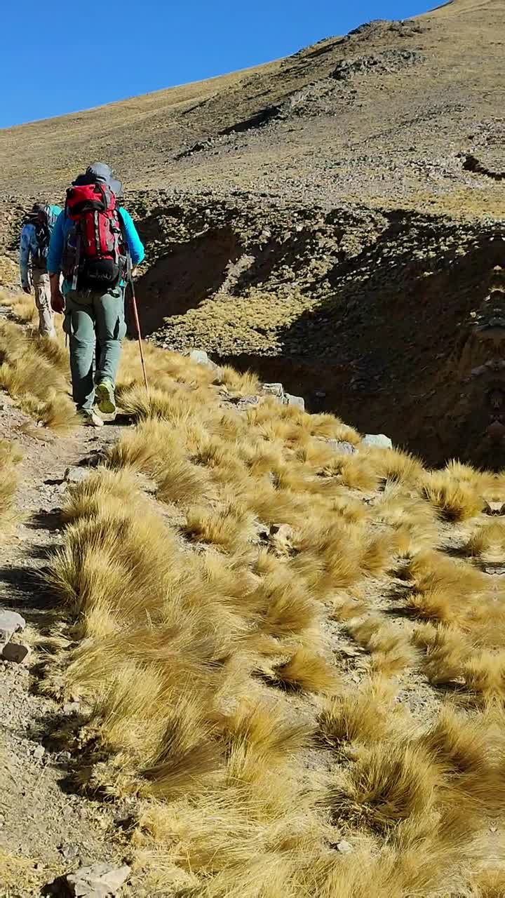 一群人在山上散步。背包客。视频下载