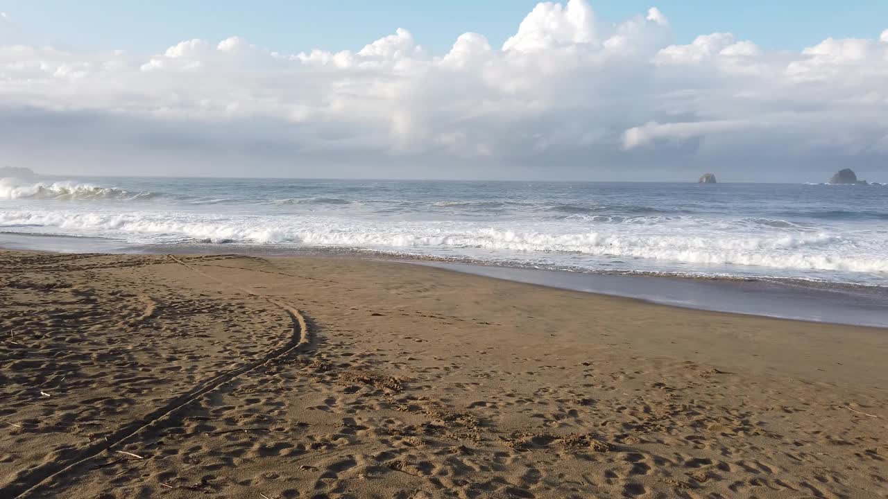 印度尼西亚东爪哇的苏库马德海滩，新孵化的海龟在那里被释放视频下载