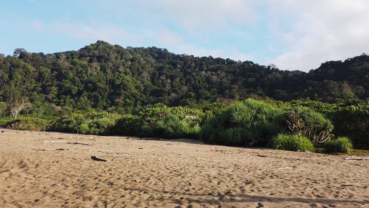 印度尼西亚东爪哇的苏库马德海滩，新孵化的海龟在那里被释放视频素材