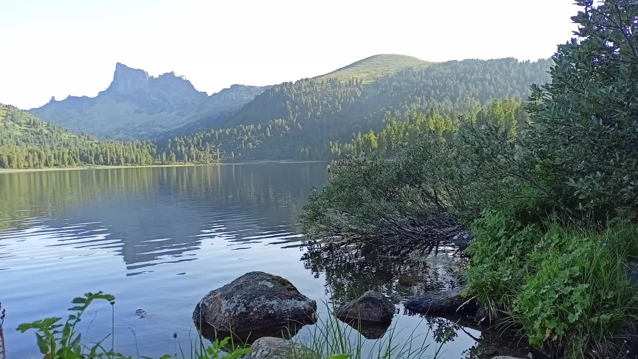 在一个阳光明媚的夏日夜晚，山峰环绕着一个大湖，湖面上有一丛丛高大的灌木和一块石头。视频素材