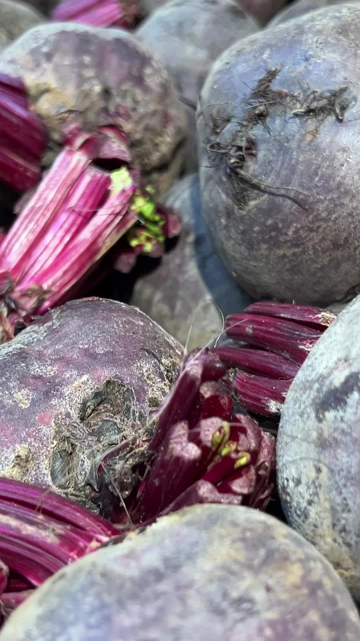 当地市场上有很多新鲜蔬菜。新西兰新鲜市场上的新鲜甜菜根视频素材