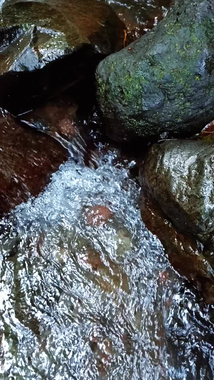 在岩石间流动的河水视频素材