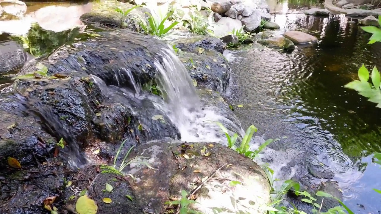 宁静池塘中的宁静瀑布视频素材